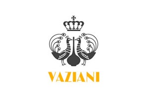 vaziani logo